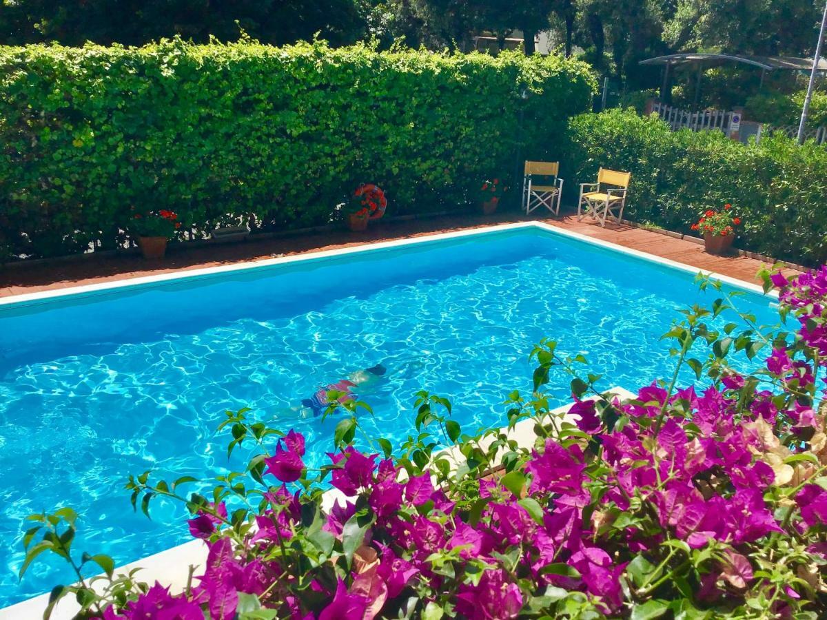 La Coccinella San Vincenzo